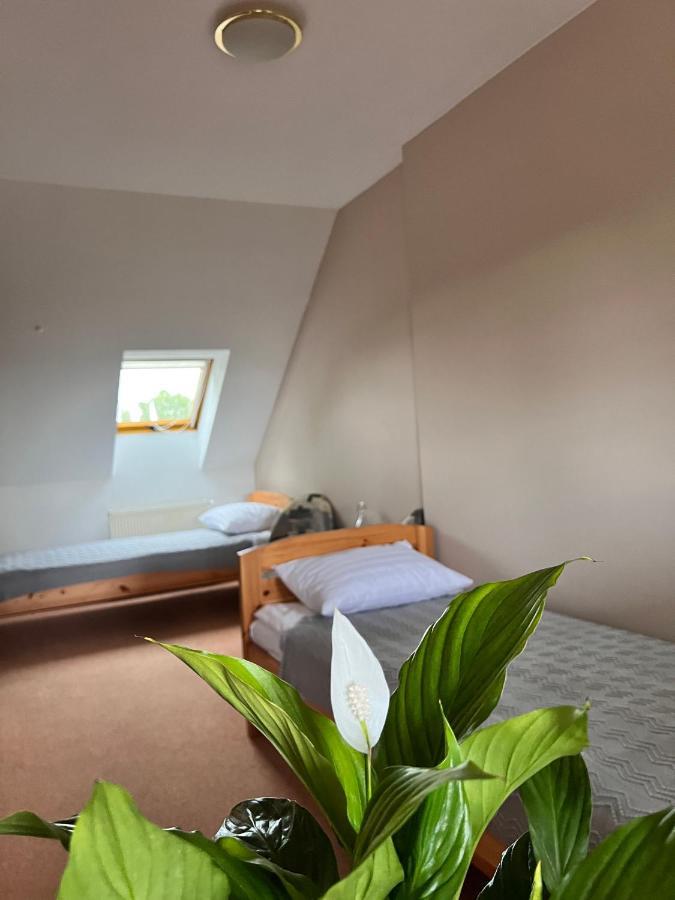 Hotel Marislav Cesnovice Ngoại thất bức ảnh