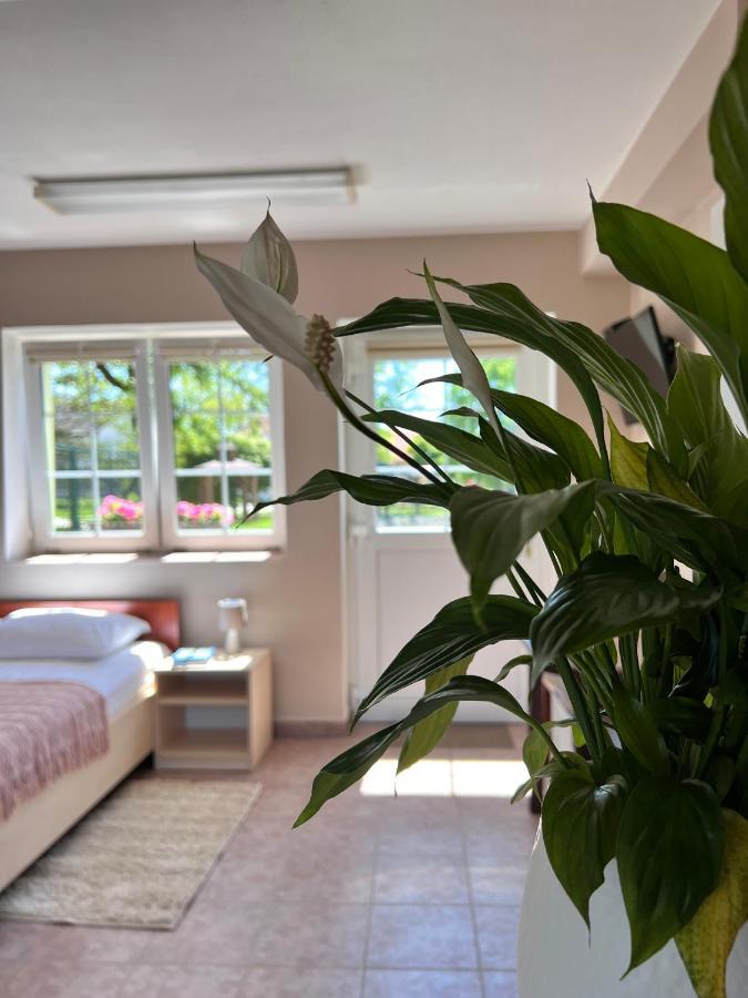 Hotel Marislav Cesnovice Ngoại thất bức ảnh