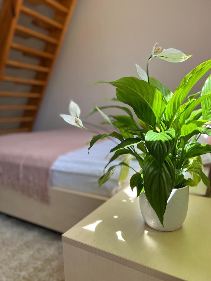Hotel Marislav Cesnovice Ngoại thất bức ảnh