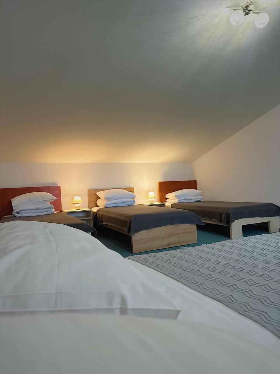 Hotel Marislav Cesnovice Ngoại thất bức ảnh