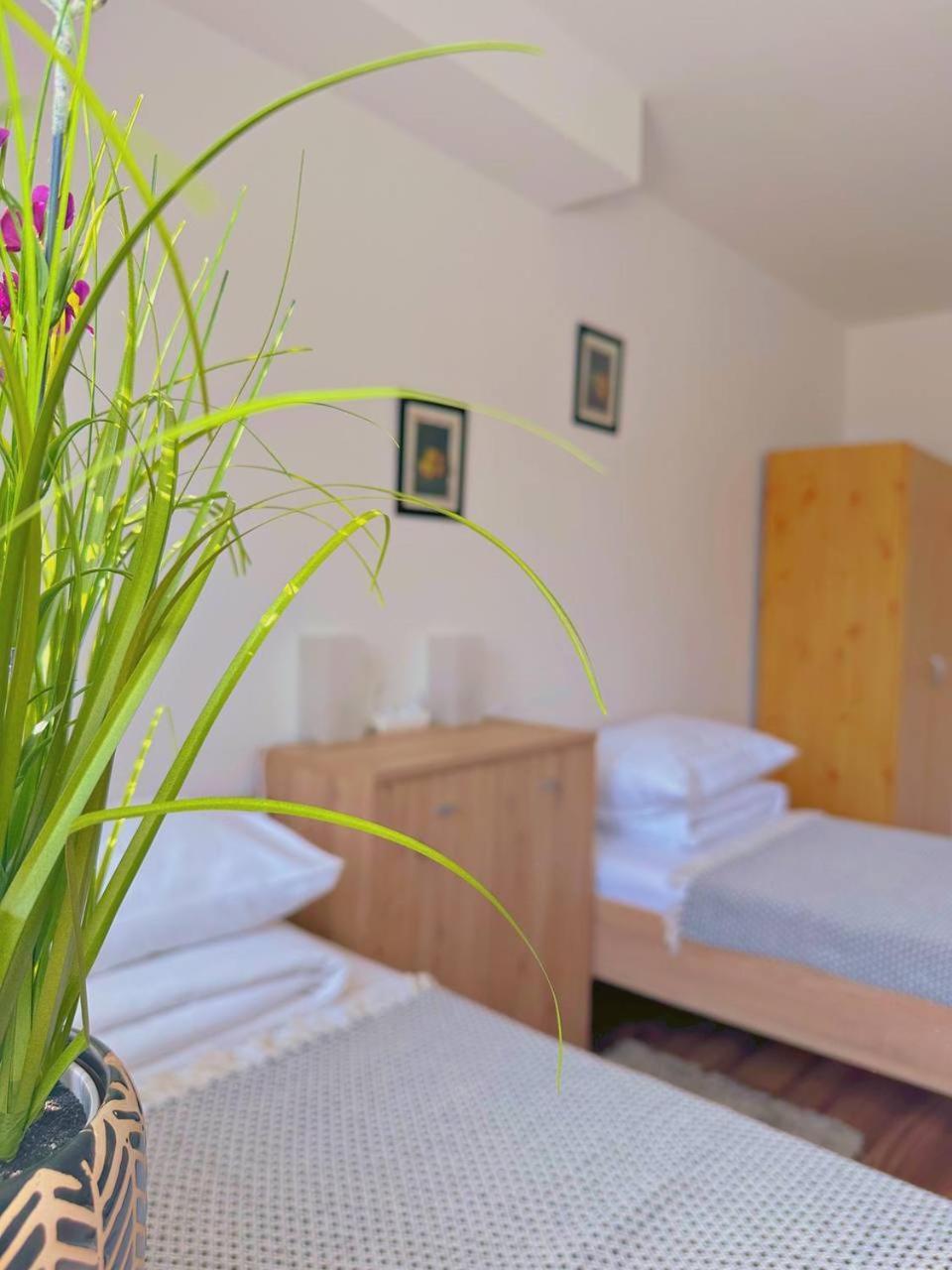 Hotel Marislav Cesnovice Ngoại thất bức ảnh